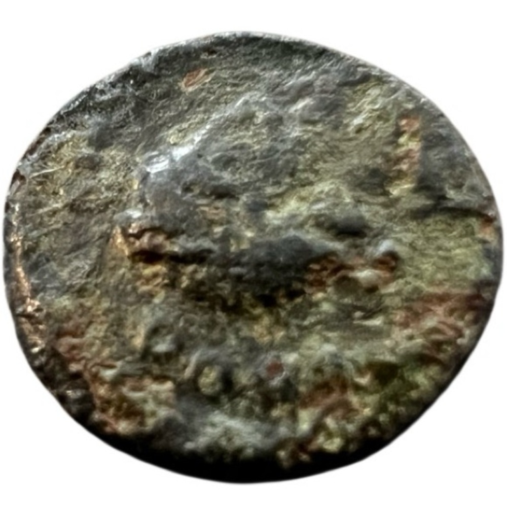 Ancient Bronze Roman Coin Unidentified